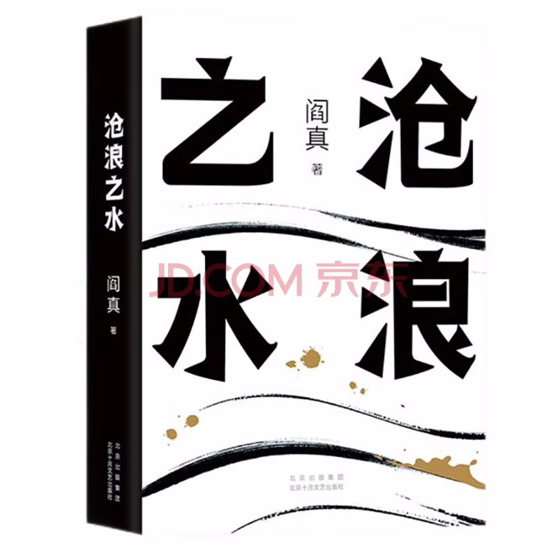 【自营包邮】阎真：沧浪之水（豆瓣8.5分，入围茅盾文学奖。胡